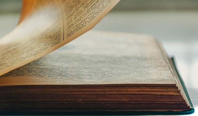On Page SEO Checklist 2024: The Stuff That Actually Moves Rankings