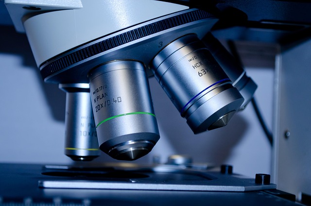 Top Free Keyword Research Tools in 2024: Find Hidden Gems Without Spending a Dime